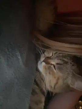 And I find in she and M ❤️‍🔥🐈 #nothingelsematters #metallica #metalgirl #altgirl #rockstargf 