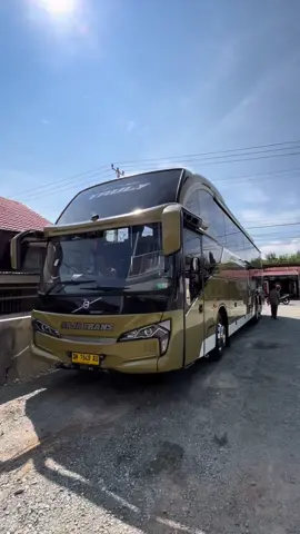 Truly go go manado @HUNTING BUS SULAWESI RAJATRANS 