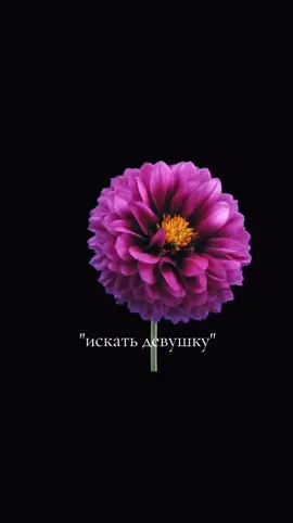 #рекомедации #рек #говрек 