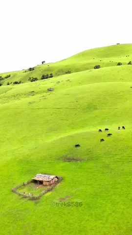 Mundhum Trail Trek #trek8586 #maiyung #mundhumtrek #monsoontrek #fyp #viral 