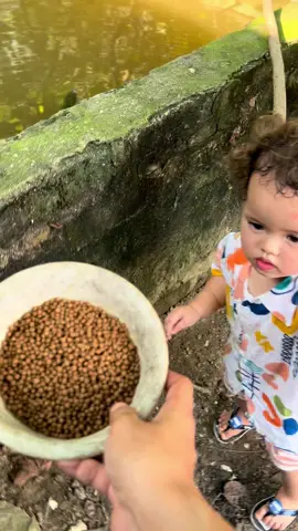 Meleng dikit pelet ikan dimakan