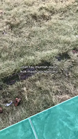 #fyp #4upage #fyppppppppppppppppppppppp 