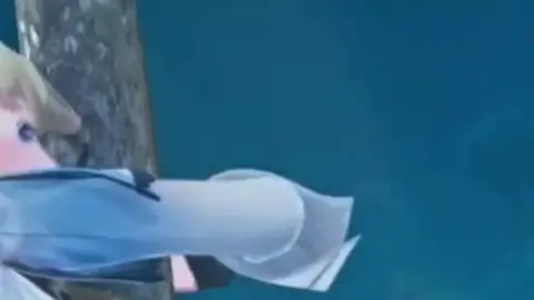 Phoebe ôm cây! #Phoebe 