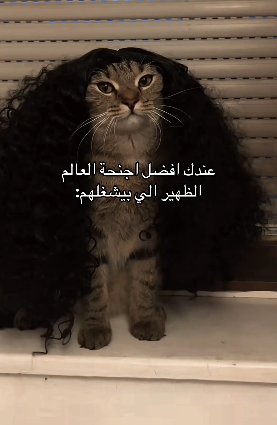 هههههههههههههههه 😭.‎ #كوكوريا #باريس_سان_جيرمان #تشيلسي 