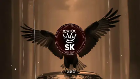Valley of the Wolves Valley of Remix🎶🎧 ☠️☠️Remix Turkish 🇹🇷X Bloor Türkiye #skrl179☠️ 