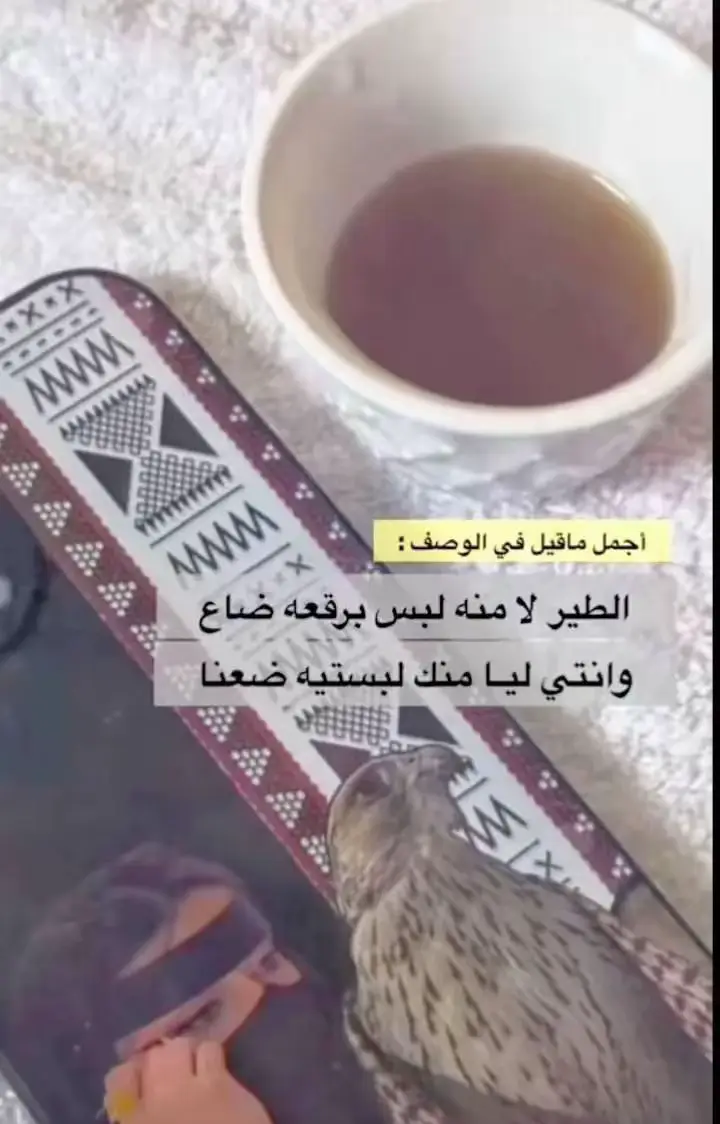 #سلام_ياهيه#مساء_الخير_والسعاده_أكسبلور🎵❤️ #راقت_لــي🕊️🖤 