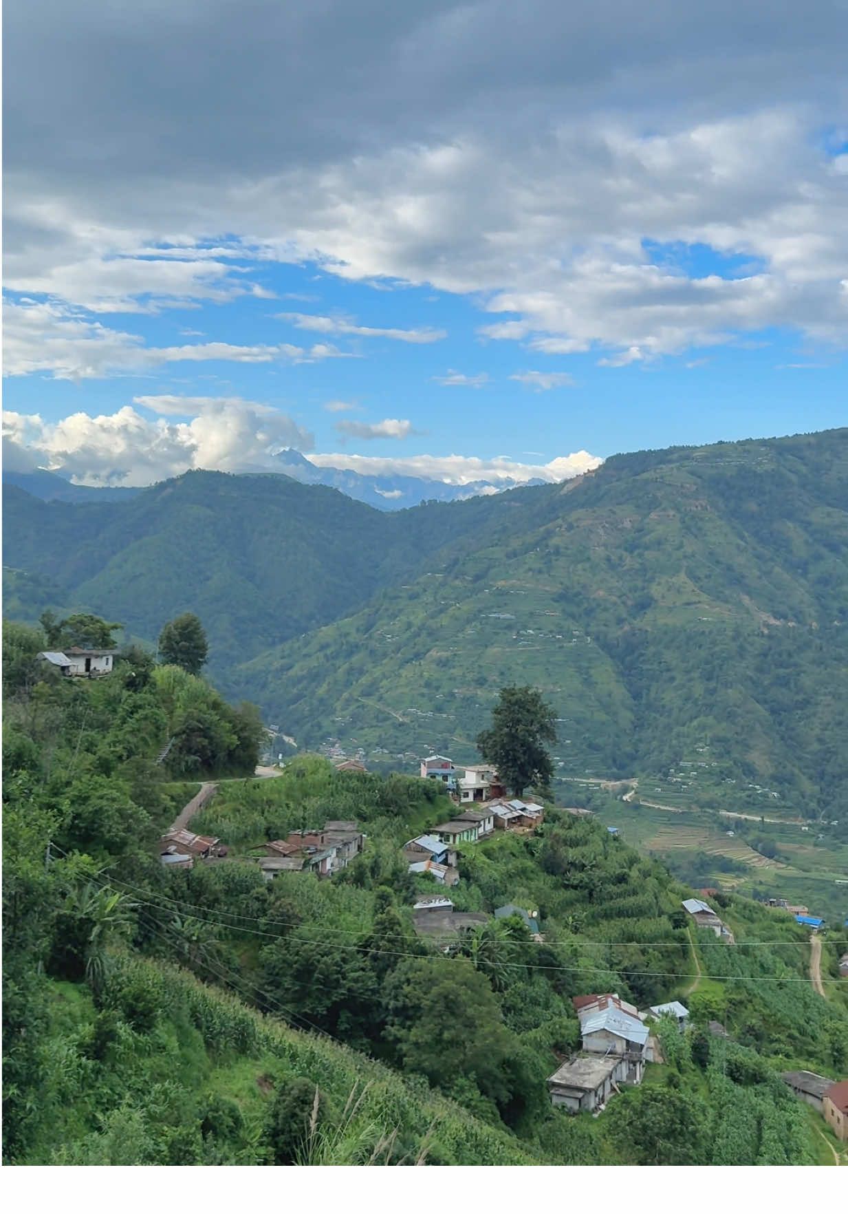 Gau ghar☘️🕊️ #gau #nature #fyp #relatable #fr #quotes #gaule #hometown #nepal #heaven #real #peace #repost #view #sukoon #creatorsearchinsights 