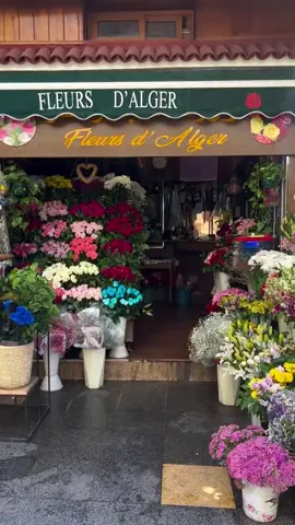 #cejour-là   #🇩🇿  @*~Nature ᥫ᭡ @*~Nature ᥫ᭡  @*~Nature ᥫ᭡ #algérie #fyp #nature #💚 #❤️ #🤍 