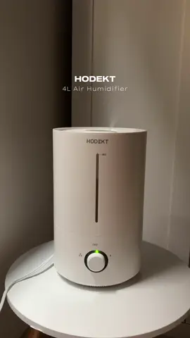 must have talaga ang hair humidifier sa bahay 🤍  #airhumidifier #hodekt #hodektph #hodektairhumidifier #humidifier #affordableairhumidifier 