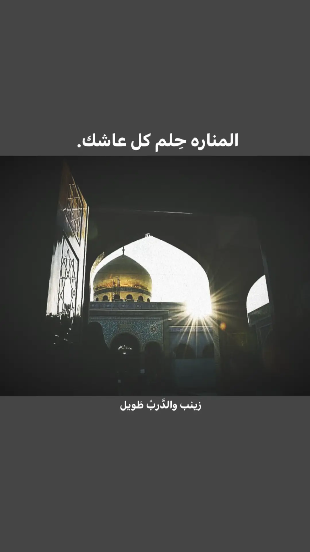 #ناطق_هادي #السيده_زينب #استشهاد_السيده_زينب_عليها_السلام #ياصاحب_الزمان_ادركنا #اللهم_عجل_لوليك_الفرج 