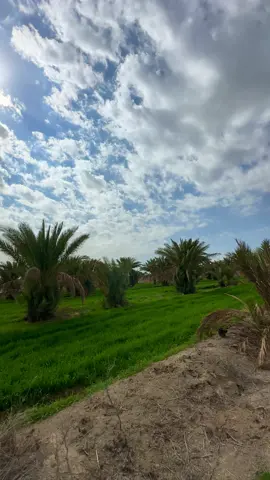 عباراتكم  #سمير_صبيح❤️ #شعر_شعبي_عراقي💜 #بساتين_العراق #ايام_الزمن_الجميل #العراق #جيل_الطيبين #عبارات #الشاعر_سمير_صبيح #الشعب_الصيني_ماله_حل😂😂😂 