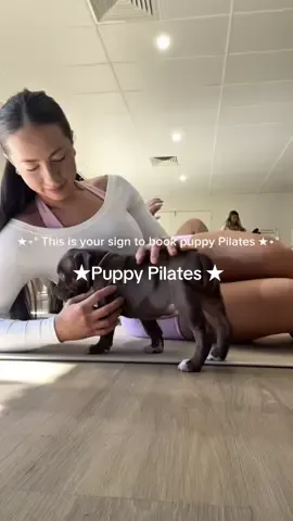 ★ Your sign to book puppy Pilates    Idk how much Pilates was actually done, but dopamine levels: 📈📈📈  @Puppy Pilates Co @keeleytilbrook  Look at their little faces🥺🫶🏼✨ #pilates #puppies #puppypilates #cute #workout #puppy 