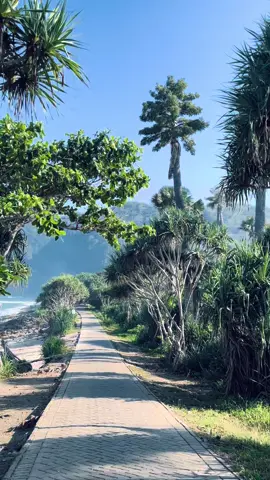 View papuma dipagi hari sangat cantik sekali🤍🌊 #jember #explorejember #viewbeach #fyp #fypp #papumajember #pesonajember #tiktok #fyppp 