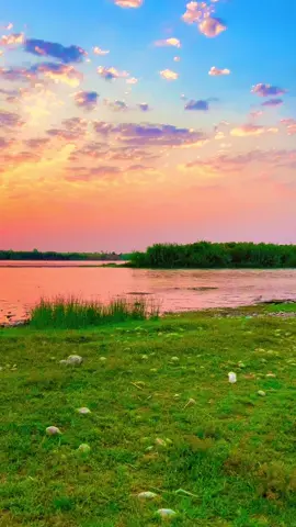 لون لوحتك وردي الحياة الوان خلص عمرك لوحتك ملت الداكن و لا ترسم جبل ارسم نهر بي روح وارسم ريح بلكي تحرك الساكن بلكي من النهر يطفح ركاد الغيض ويطگ زود ويهدم سدة اللاكن وعلگ عالوجه ضحكة وامل بالروح بجدار العين كافي شچم حزن راكن و فك باب القفص خلي الاحلام تطير و انت من الطفولة شچم حلم ساجن وخرها الستارة الشمس خلي تفوت و لتخلي الجروح تبين الباطن #شعراء #شعر #شعراء_وذواقين_الشعر_الشعبي🎸 #سميرصبيح #اشعاروقصايد #عتاب #الشعر 