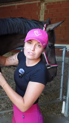 Können wir Luis bitte sagen, dass ich nicht die einzige bin die so lange im Stall braucht? Danke 🤝🏼