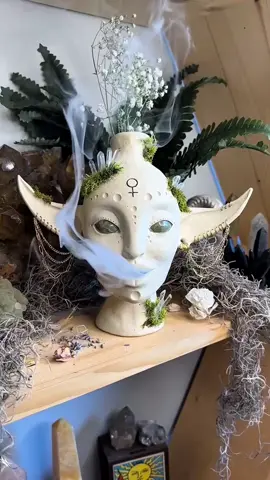 #tarot #tarotreading #tarotcards #lecturedetarot #tarotfrançais #tarotista #tarotcommunity #tarotreader #tarotlover #divination #spiritualité #ésotérisme #voyance #medium #cartomancie #oracle #mystique #énergie #intuition #développementpersonnel #bienêtre #guidancespirituelle #fyp #foryou 