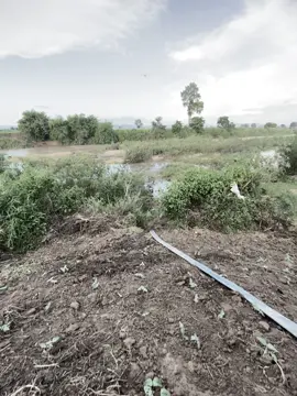 ... #xuhuong #fyp #chill #xuhuongtiktok #canhdep #tâm_trạng_buồn 