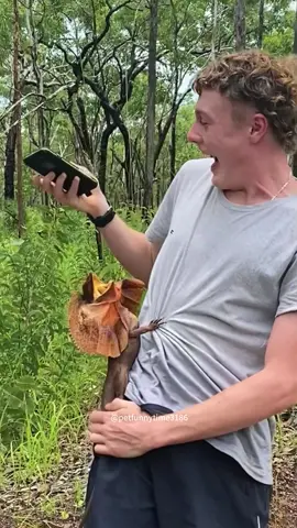 Why I’m scared to live in Australia#interesting #snakes #animals #crazy #fear #cute #wildlife #spiders #lizards 