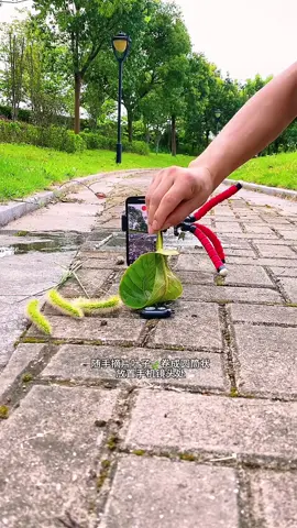 Cách quay video sáng tạo #quayvideo #quayvideobangdienthoai #xuhuong #xuhuong 