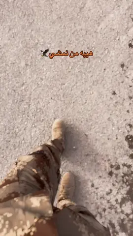 #CapCut #جهاز_مكافحة_الارهاب_الفرقه_الذهبيه #جهاز_مكافحة_الارهاب #جهاز_مكافحه_الارهاب_العمليات_الخاصة #العمليات_الخاصة #جهاز_مكافحه_الارهاب 