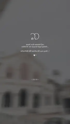 හිමි වුණේ නැතත් ඉහටත් උඩින් ආදරේ... තාම තියෙනවා පෙර වාගෙ මේ හිතේ... 🫶❤️‍🩹 #zeoquotes #foryou #viral #trending 