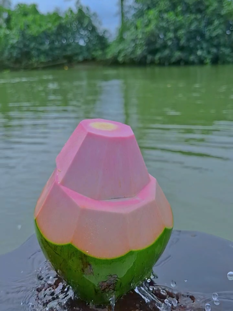 seger mengupas kelapa pink #satisfying 