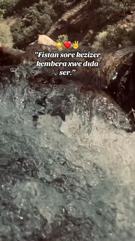 #keşfet