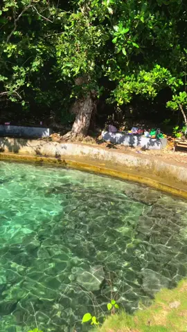 #malukupride🏝🔥 #ambonpride🏝🔥 #ambontiktok #ambon 