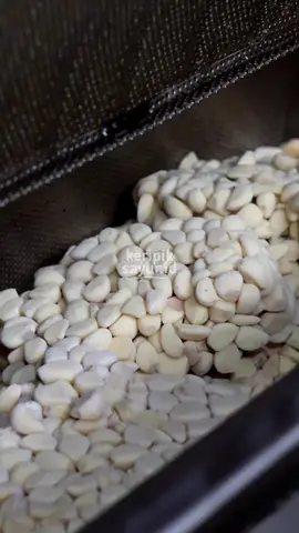 sampe sekarang masih ada aja nih yang kepo sama rasa keripik bawang putih 🤔  #fypシ゚ #cemalcemilsehat #fyp #bahagiakanpetaniindonesia 