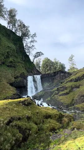 danau segara anak rinjani setengang ini? masa kalian milih rebahan di rumah aja  #danausegaraanak #rinjani #danau #3726mdpl #pendakigunung #fyp #tenang 