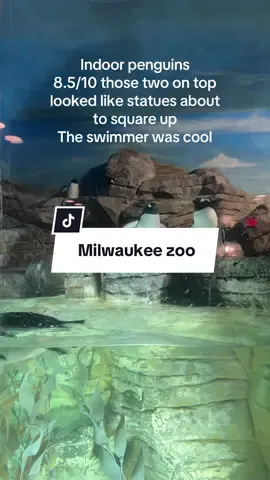 We got a pass to the #milwaukeezoo so we will be back! #wisconsin #wisconsinzoo #milwaukeethingstodo #milwaukee