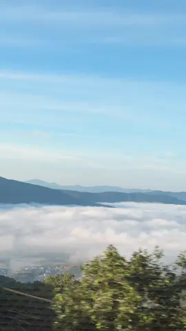 Săn mây nào ☁️☁️☁️☁️ #khoanhkhaccuocsong  #Tunonla  #anhtubeoenjoy  #dalat 