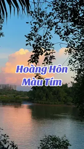 Chiều hoàng hôn …tím cả dòng sông…#xuhuong #fyppppppppppppppppppppppp #foryourpage #foryoupageofficiall #nhachaymoingay❤️ #nhacbolero #nhachaycanhdep🌺🌺🌸🍁♥️❤ #nhạcbuontamtrang #nhachoadep #giaitritonghop #bichtamtam888 