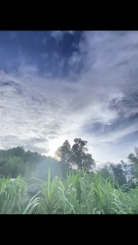 Cảnh đẹp luôn ở mọi nơi#fyp #livephoto #tamtrang #viralvideo #xhuongtiktok #xuhuong #chill #buon 