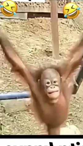 #fyp #respect #funnymoments #fun #funyy_videos #tik_tok #funnymoments #fyp 