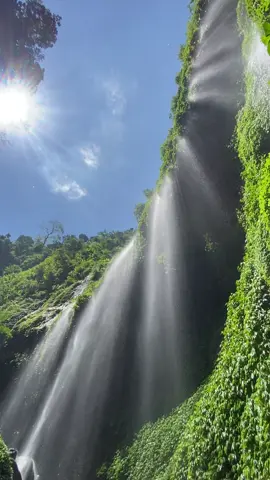 Hidden paradise  #madakaripura #madakaripurawaterfall #probolinggo #explorejawatimur #pesonaindonesia #wonderfullindonesia #airterjun #fyp #beranda #fypage 