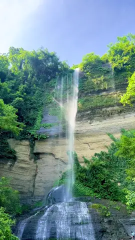 Shuvolong Waterfall, Rangamati 🔥 #foryou #suggested #waterfall #shorts 