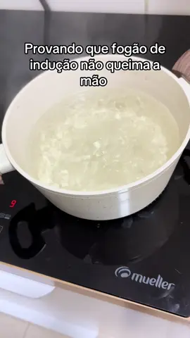 #fogaoinducao #donadecasa 