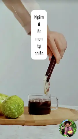 Lý do nước nhàu (Noni Juice) được xếp vào nhóm “superfood” tại Mỹ, châu Âu & Nhật Bản 😮😮😮 #nhaudongnam #nuoccotnhau #nuocnhaulenmen #trainhau #nhaungam #antrainhau 