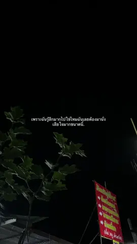 #fypシ゚ #เธรดเศร้า #ความรัก #ความรู้สึก #เธรดเพลง #ยืมลงสตอรี่ได้ 