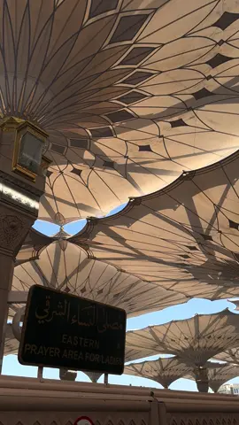 اللهم امين ولكم اجمعين 🤲🏻🤍#اكسبلورexplore #ترندات_تيك_توك 