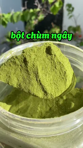 Bột lá chùm ngây Thảo Dược Việt #bộtláchùmngây #chùmngây 