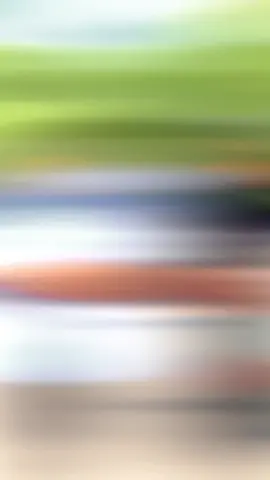 my bro👑❤️🦁#vllezritibrahimi✅ #viral_video #fypシ゚viral 