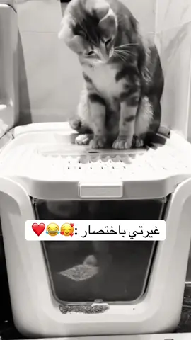 #الشعب_الصيني_ماله_حل😂😂 #الشعب_الصيني_ماله_حل😂😂 #fyp 