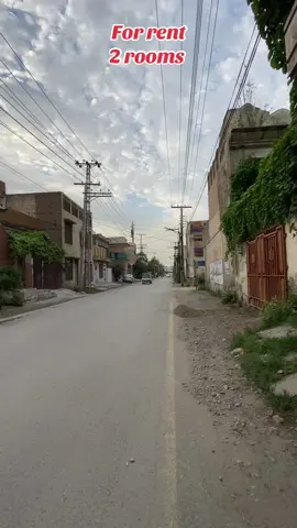 #hayatabad #phase1 D4 upper 2 rooms 1 batha kiechan available for rent 19k #hayatabad #peshawar #foryourpage 
