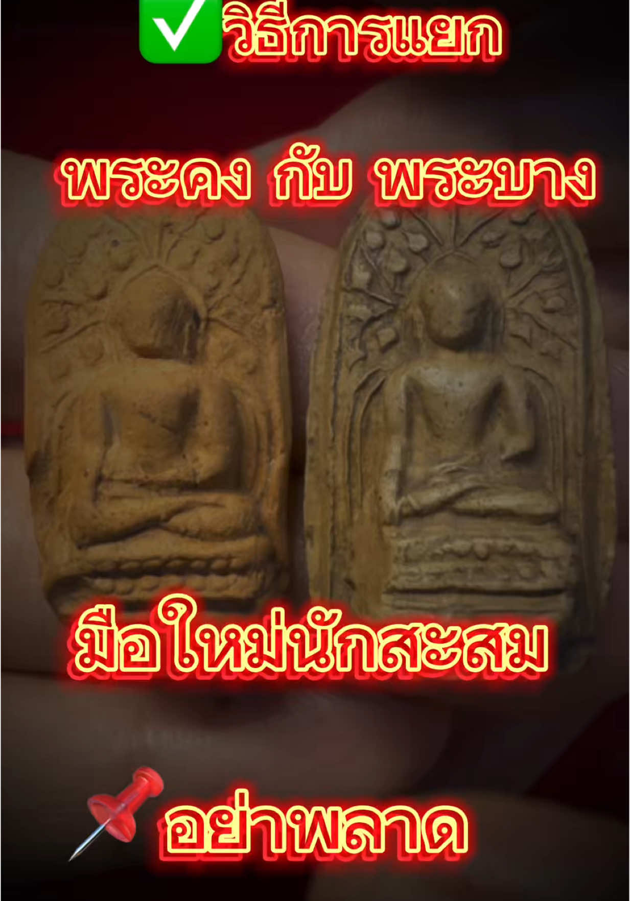 ✅ดูคลิปนี้แยกได้แน่นอน พระคงกับพระบาง โดยเฉพาะพระบาง (แท้ๆหาดูยากครับ)  “ผ่านมาเห็นคลิปนี้ไม่ใช่บังเอิญครับ เพราะ ‘พระองค์ที่คุณจะเก็บต่อไป’ อาจอยู่ในคลิปนี้ #ไลฟ์สดพระเครื่อง   #พระแท้วัดใจ   #โต้พุทธมณฑล   #สายพระห้ามพลาด   #พระน่าลงทุน