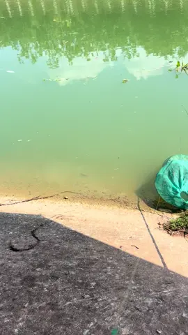 Ơi là trời của ông nào #caucagiaitri #caucatunhien #cauca 