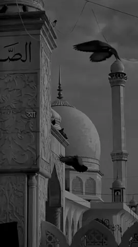 #আনিসুর_রহমান_আশরাফী💖💖 #shorts #islamic #foryou #foryoupage #tending @Creator Portal Bangla @TikTok for Business SEA @For You House ⍟ 