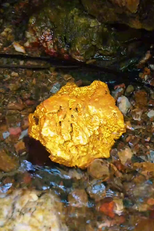 #gold #goldnugget #goldpaning #diamond #treasure #treasurefinds #treasurehunt #usa #fyp #milionviews 