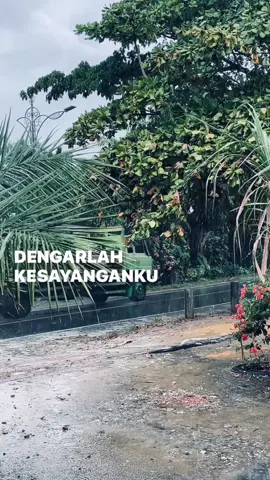 #kesayangan #4u #fyp #fypシ 